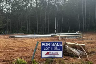 213 Laney Dr, Carrollton, GA 30117 - Photo 3