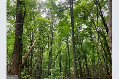 0 Lot 37 Saddleback Circle, Sky Valley, GA 30537 - Photo 5