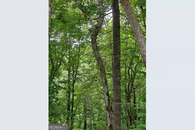 0 Lot 37 Saddleback Circle, Sky Valley, GA 30537 - Photo 3