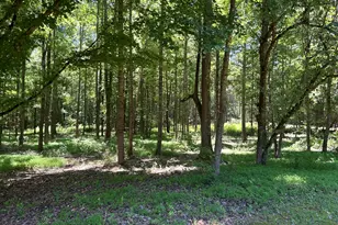 996 Grove Level Rd, Maysville, GA 30558 - Photo 7