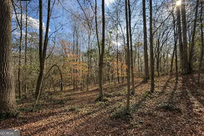 344 Mitchell Road, Maysville, GA 30558 - Photo 9