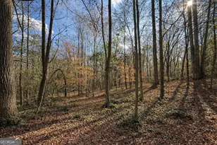 344 Mitchell Rd, Maysville, GA 30558 - Photo 9