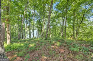 177 Nighthawk Ct, Monticello, GA 31064 - Photo 55