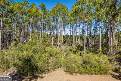 108 Wild Horse Court, Saint Marys, GA 31558 - Photo 5