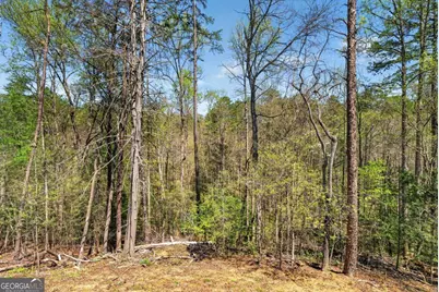 54 Barbs Way, Mineral Bluff, GA 30559 - Photo 29