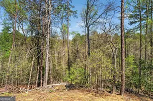54 Barbs Way, Mineral Bluff, GA 30559 - Photo 29