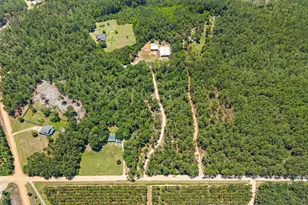 2579 Buie Driggers Rd, Brooklet, GA 30415 - Photo 37