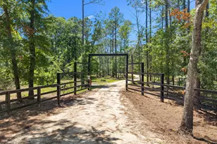 2579 Buie Driggers Rd, Brooklet, GA 30415 - Photo 39