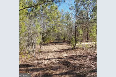 100 Sparrow Drive, Box Springs, GA 31801 - Photo 1