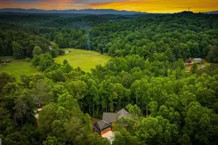 298 Lower Creek Trail, Ellijay, GA 30540 - Photo 25