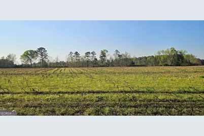 0 Shiloh Road, Greensboro, GA 30642 - Photo 1