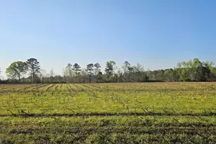 0 Shiloh Rd, Greensboro, GA 30642 - Photo 1