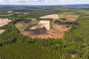 575 Hwy 67, Pembroke, GA 31321 - Photo 1