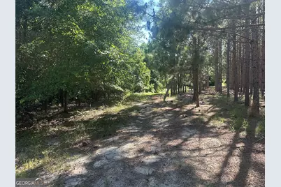 0 Dorsey Clark Road, Sylvania, GA 30467 - Photo 15