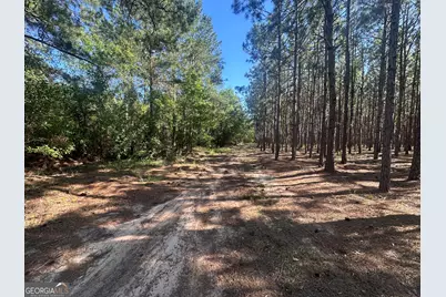 0 Dorsey Clark Road, Sylvania, GA 30467 - Photo 11