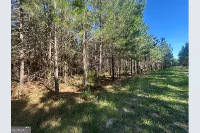 0 Dorsey Clark Road, Sylvania, GA 30467 - Photo 5