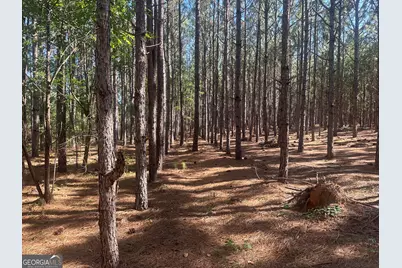 0 Dorsey Clark Road, Sylvania, GA 30467 - Photo 3