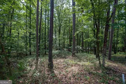 2111 Armors Ford, Greensboro, GA 30642 - Photo 5