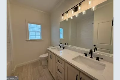 163 W Shore Drive, Ochlocknee, GA 31773 - Photo 35