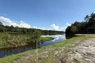 163 W Shore Dr, Ochlocknee, GA 31773 - Photo 45