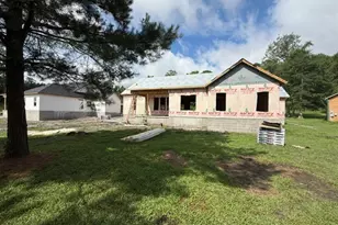 163 W Shore Dr, Ochlocknee, GA 31773 - Photo 3