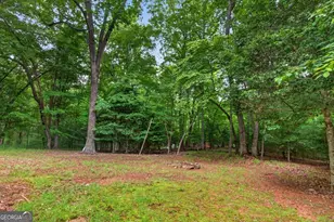648 Stuart Mountain Rd, Mineral Bluff, GA 30559 - Photo 53