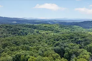 648 Stuart Mountain Rd, Mineral Bluff, GA 30559 - Photo 71