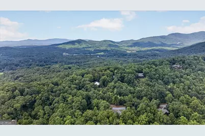 648 Stuart Mountain Road, Mineral Bluff, GA 30559 - Photo 69