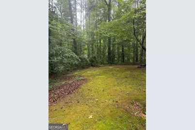 406 Covered Bridge Road, Covington, GA 30016 - Photo 39