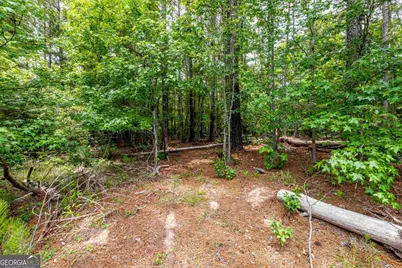 1360 Sailview Drive, Buckhead, GA 30625 - Photo 7