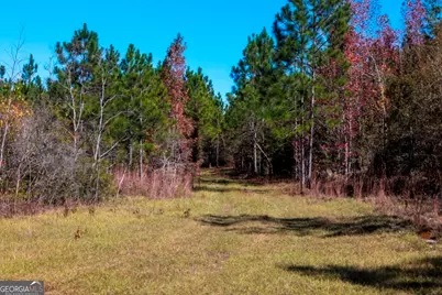 0 Morton Road, Dublin, GA 31021 - Photo 15
