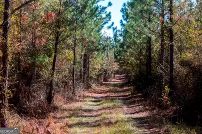 0 Morton Road, Dublin, GA 31021 - Photo 13