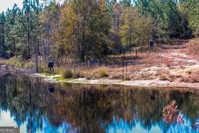 0 Morton Road, Dublin, GA 31021 - Photo 17