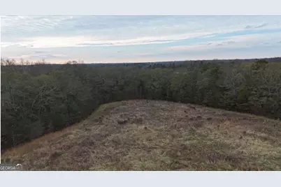 0 Bowman Highway, Dewy Rose, GA 30634 - Photo 5
