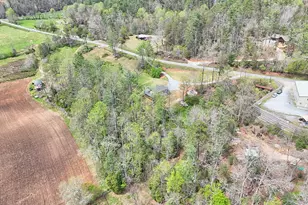 7778 Warwoman Rd, Clayton, GA 30525 - Photo 77