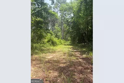 1 Sunhill Grange Road, Davisboro, GA 31018 - Photo 9