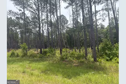 1 Sunhill Grange Road, Davisboro, GA 31018 - Photo 3