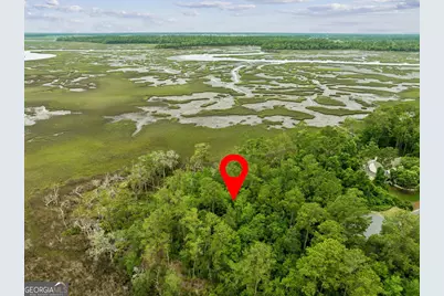 0 Heron Point Lane, Woodbine, GA 31569 - Photo 9