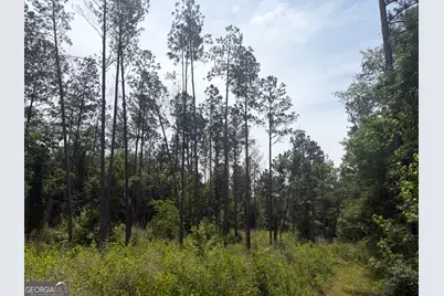 3 Sunhill Grange Road, Davisboro, GA 31018 - Photo 7