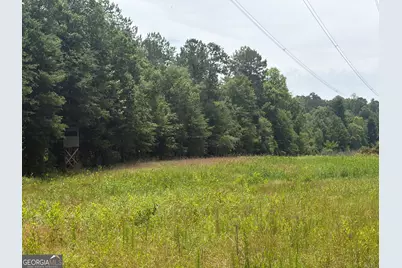 3 Sunhill Grange Road, Davisboro, GA 31018 - Photo 9