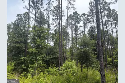 3 Sunhill Grange Road, Davisboro, GA 31018 - Photo 5