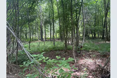 3 Sunhill Grange Road, Davisboro, GA 31018 - Photo 3