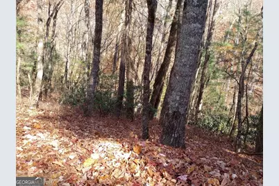0 Rebel Circle #LOT 3, Sky Valley, GA 30537 - Photo 5