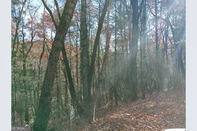 0 Rebel Circle #LOT 3, Sky Valley, GA 30537 - Photo 3