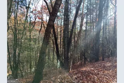 0 Rebel Circle #LOT 3, Sky Valley, GA 30537 - Photo 9