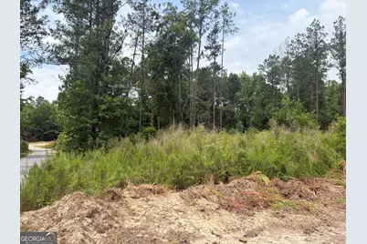5 Sunhill Grange Road, Davisboro, GA 31018 - Photo 3