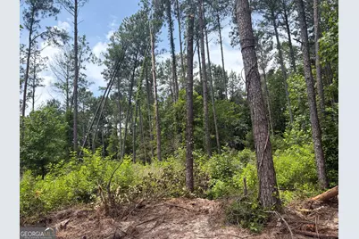 5 Sunhill Grange Road, Davisboro, GA 31018 - Photo 1