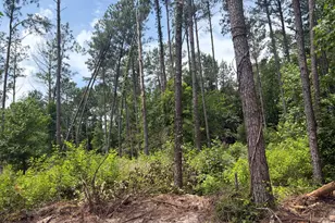 5 Sun Hill Grange Rd, Davisboro, GA 31018 - Photo 1