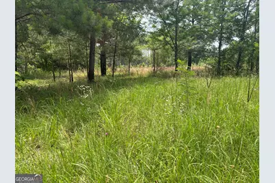 6 Sunhill Grange Road, Davisboro, GA 31018 - Photo 1
