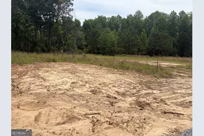 6 Sunhill Grange Road, Davisboro, GA 31018 - Photo 7